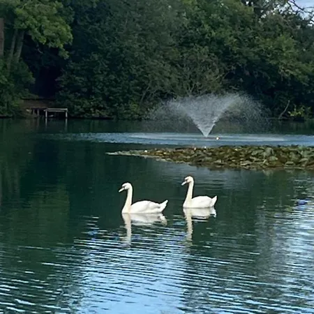 Brickyard Lakes Tranquil Holiday home Malton
